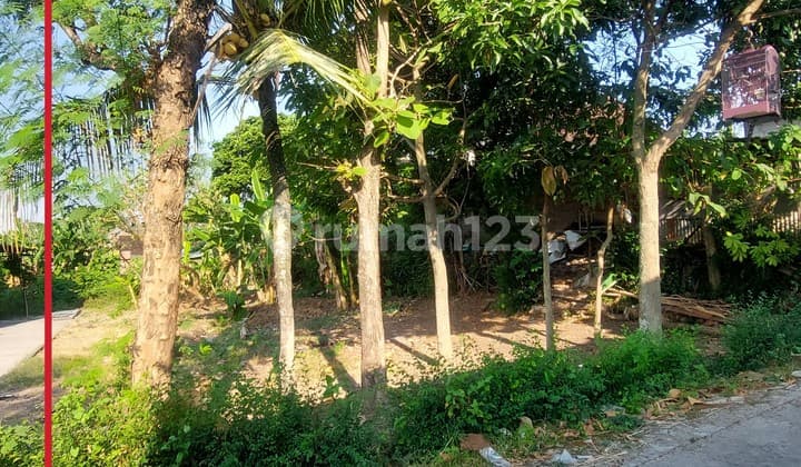 Land 330 m², ready to build yard, located on ring road near mosque.