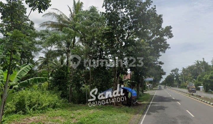 Tanah Murah Tepi Jl. Daendels 7 Menit Bandara YIA