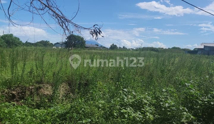 Kavling Komersil Serang Dekat Exit Toll Lokasi Bagus