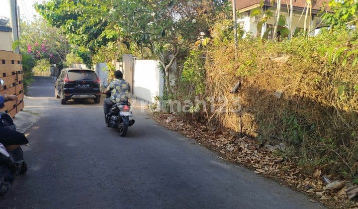 Land for sale near the international school in the villa area, the road is asphalted