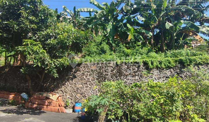 Tanah Untuk Rumah Atau Kos Dekat Simpanglima