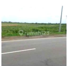 Tanah Industri di Jalan Lingkar kaliwungu SHM