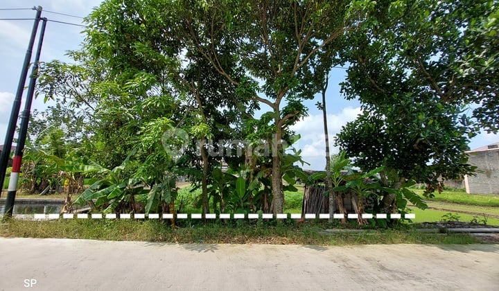 TANAH SAWAH CANTIK - STRATEGIS DI DEKAT PERUMAHAN CASA GRANDE MAGUWOHARJO DEPOK SLEMAN