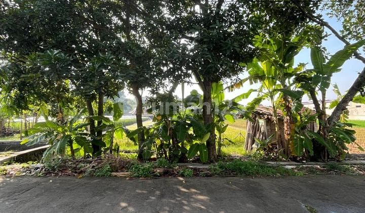 Tanah Cantik Shm Sawah Kotak Persegi - Lokasi Strategis Di Dekat Perumahan Casa Grande Maguwoharjo Depok Sleman