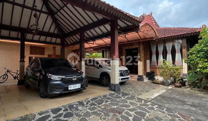Rumah Klasik Jawa Modern. Asri Full Furnished Dan Full Tanaman Buah Dengan Tanah Luas Di Plered Bantul