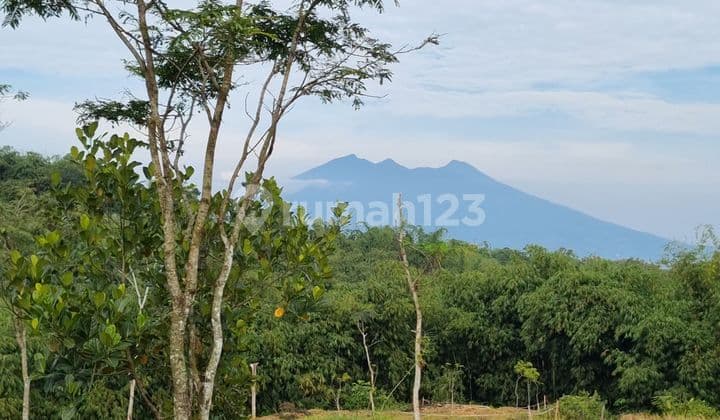 Jual Tanah Murah Hak Milik Di Puncak Bogor