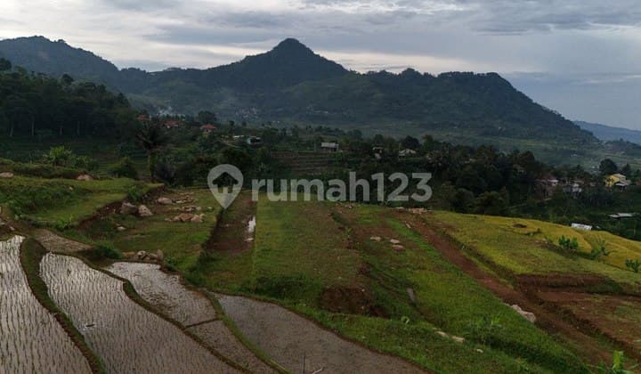 Jual Tanah Sertipikat Murah View Mewah di Puncak 2 Bogor