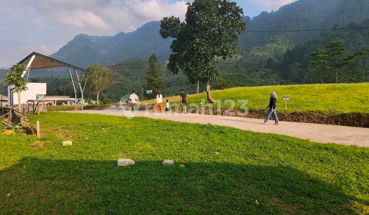 Tanah Shm 1000 Mdpl Panoramic Highland