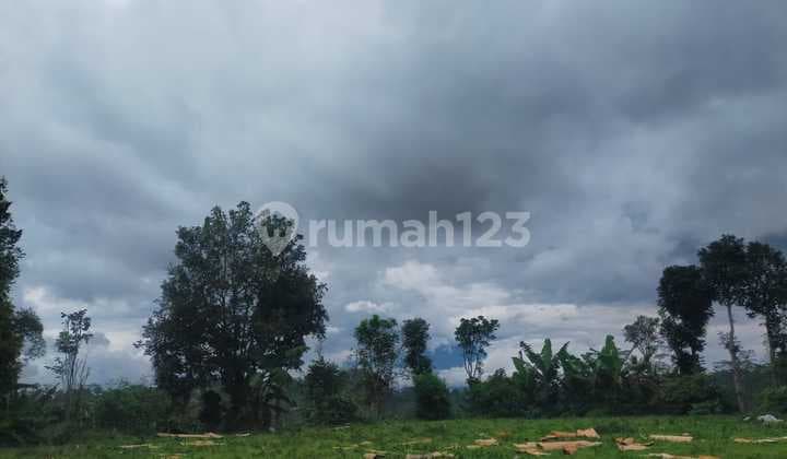 Tanah Siap Olah Lokasi Ds Grabag Kopeng