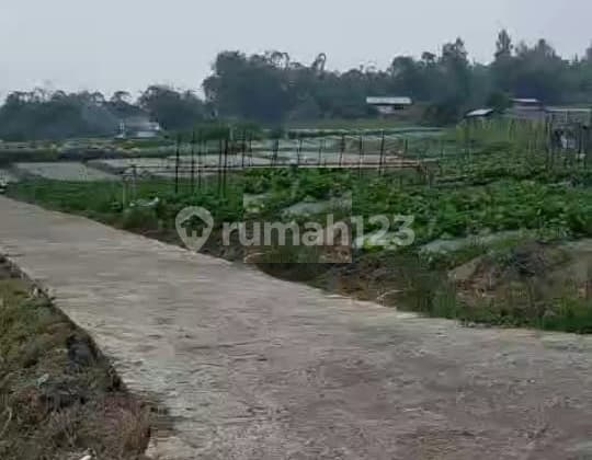 Tanah View Gunung Lokasi Ds Kragilan Kopeng