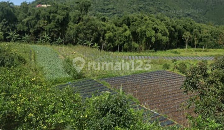 Tanah View 4 Gunung Lokasi Ds Digulan Kopeng