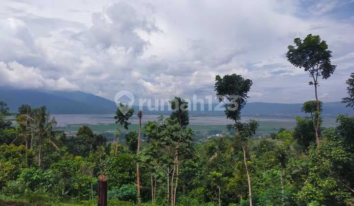 Tanah View Rawa Pening dan Gunung Lokasi Ds Lopait Tuntang