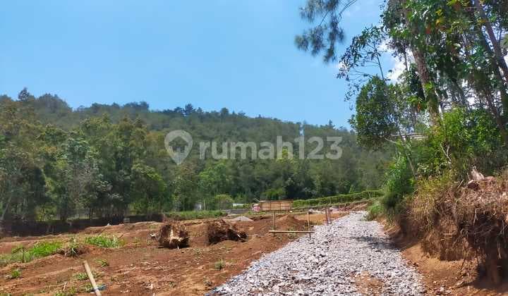 Tanah View 4 Gunung Lokasi Ds Cuntel Kopeng, Kab Semarang
