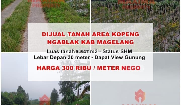 Tanah Murah Siap Olah, SHM Lokasi Ds Ngablak Kopeng