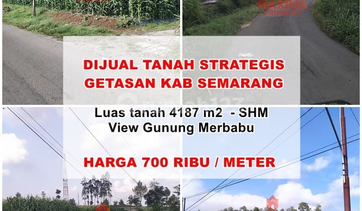 Tanah View Gunung Merbabu Lokasi Getasan Kopeng