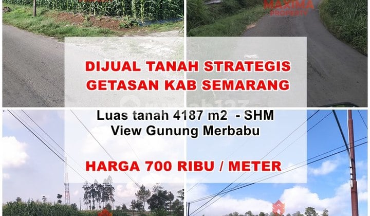 Tanah View Gunung Merbabu Lokasi Getasan Kopeng