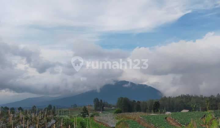 Tanah Ds Jogonayan Kopeng, View 7 Gunung Atas Cafe Cerita Kita