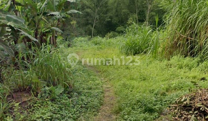 For Sale: Mrs. Tanah's Land, Warehouse, and Barn Building in Getasan Kopeng