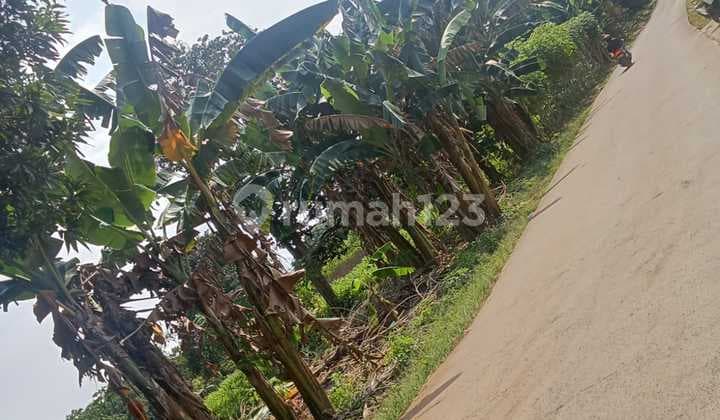 Dijual Lahan Kosong Dipinggir Jalan Jonggol Cileungsi Cck Buat Rumah Sakit , Pergudangan Atau Pabrik , Bebas Banjir , Tanah Darat Sudah Rata ,,,,lokasi Strategis
