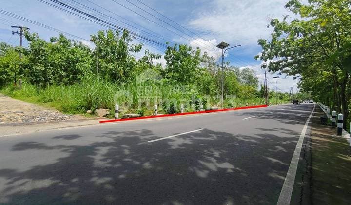 Dijual Tanah Wonosari Gunungkidul Dekat RSUD Wonosari