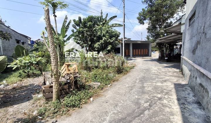 Tanah Murah Jogja Dekat Pasar Kolombo dan Kampus UGM