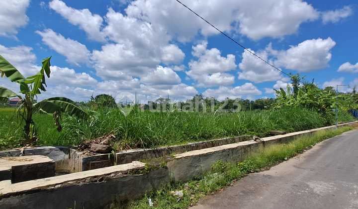 Tanah Jogja Dijual Kalasan Sleman Akses Mobil Papasan