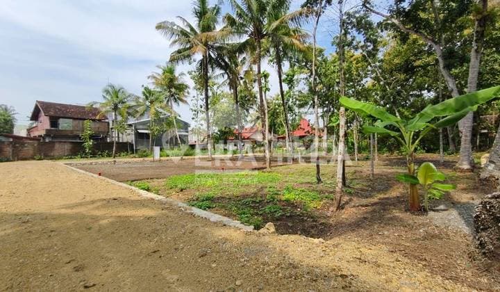 Dijual Tanah Murah Kulonprogo Dekat Alun-Alun Wates