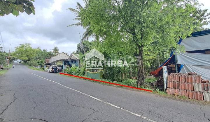 Tanah Jogja Dijual Dekat Terminal Sentolo