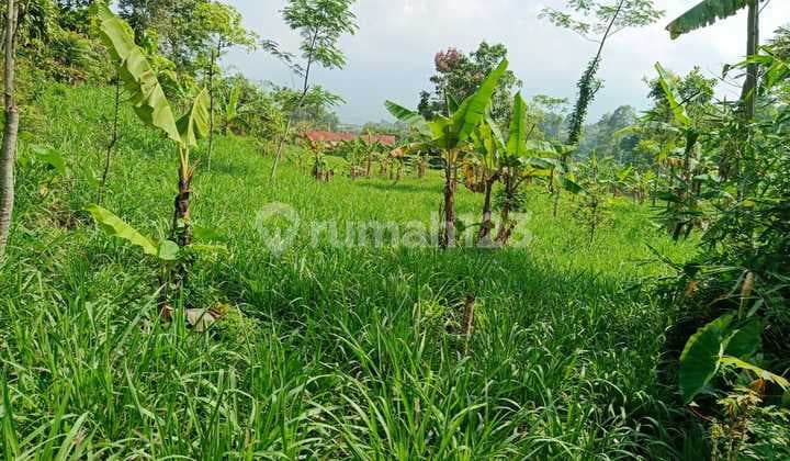 Tanah Kebun Dekat Perumahan Di Cicurug Sukabumi