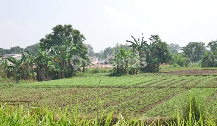 Cheap Strategic Land in Bogor