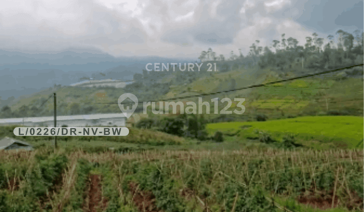 Large Land for Business Ready to Build in Ciwidey Bandung