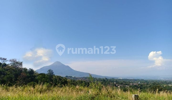 Land Plot with Mountain View in Taman Dayu Complex, Prigen.