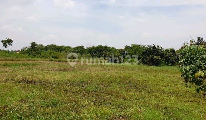 Lahan Industri Murah Di Beji, Gempol Hanya 5 Menit Dari Exit Tol