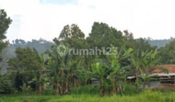 Cocok Banget Dibuat Villa Di Boscha Villa Lembang