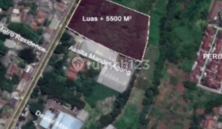 Langka sangat, di raya Bogor