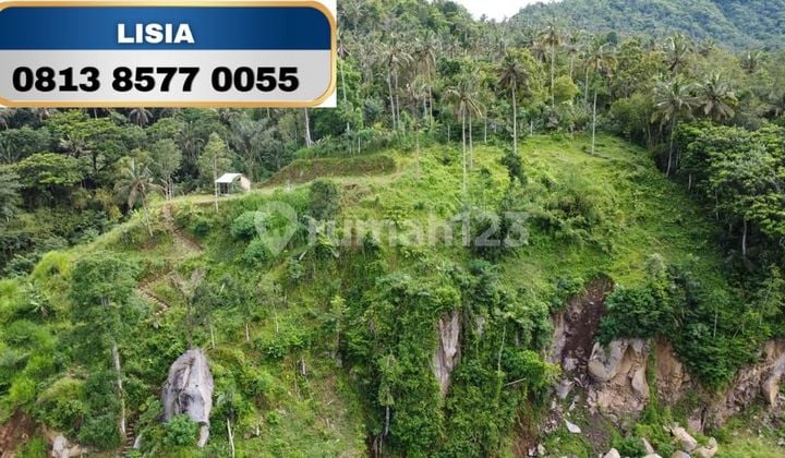 TANAH DIATAS BUKIT MURAH DAN VIEW BAGUS DI BALI.