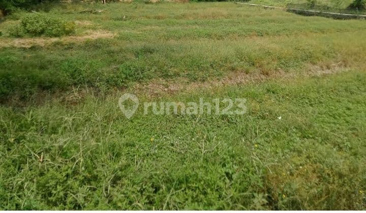 TANAH MURAH DI BAWAH PASARAN COCOK BUAT INVESTASI TANGERANG.