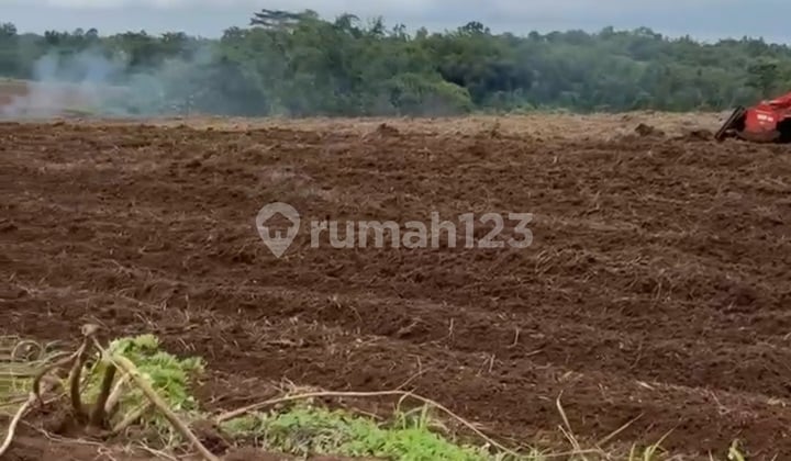 Tanah Dengan Pemandangan Asri Srjuk Dan Nyaman Di Maja Tangerang.