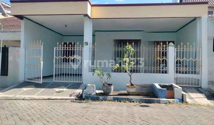 Harga Damai Sutorejo Utara Rumah Siap Huni Dekat Its dan Unair