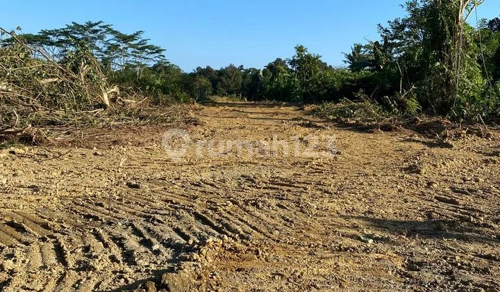 Tanah Syariah Murah Strategis Disamping STIKES Batara Guru WOTU