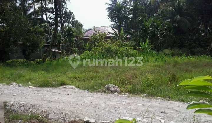 Tanah SHM Strategis Untuk Perumahan Di Batang Anai