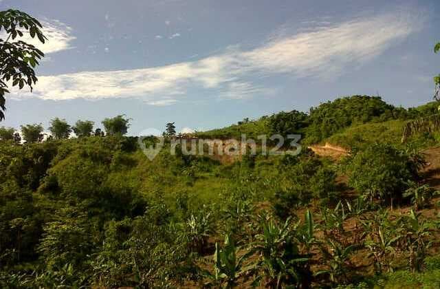 Tanah Murah di Daerah Suka Bumi Legalitas SHM