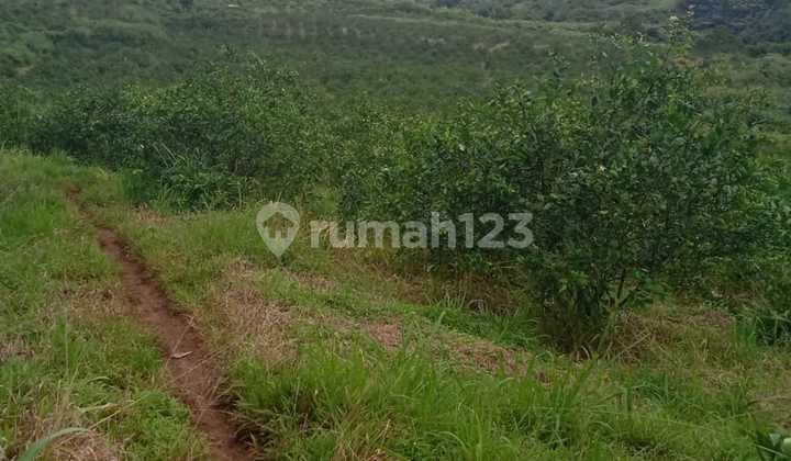 Tnanh Darat Murah View Pegunungan di Caringin Kota Suka Bumi