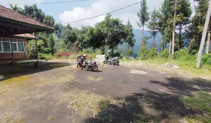 Dijual Tanah di Mega Mendung Puncak Bogor Sanget Langkadan Murah