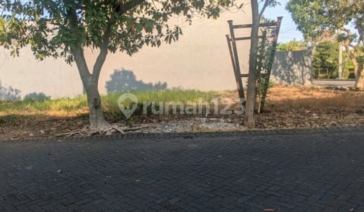 Tanah Murah Pantai Mentari Surabaya Cluster Baru Tanah Murah Pantai Mentari Surabaya Cluster Baru