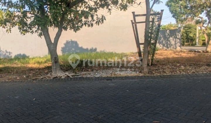 Tanah Murah Pantai Mentari Surabaya Cluster Baru