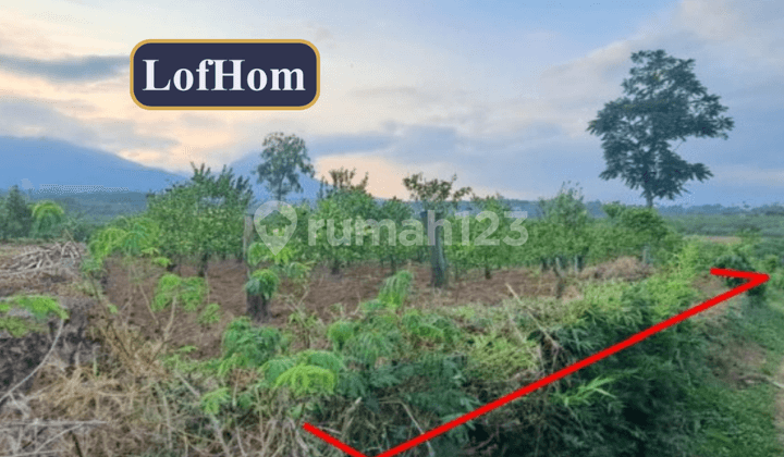 Lelang Tanah Luas di Malang