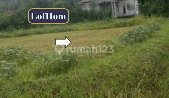 Lelang Tanah Luas di Bangkalan