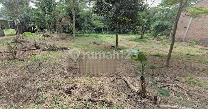 Tanah Hoek Siap Bangun Desa Taman Rahayu Setu Bekasi