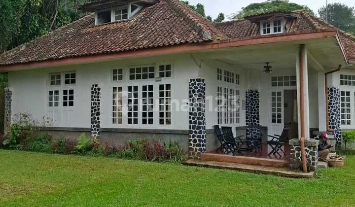 Land and Villa for Sale in Puncak Pass, Cipanas, West Java